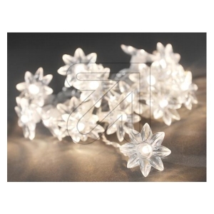 Lichterkette innen Blten 20 LED